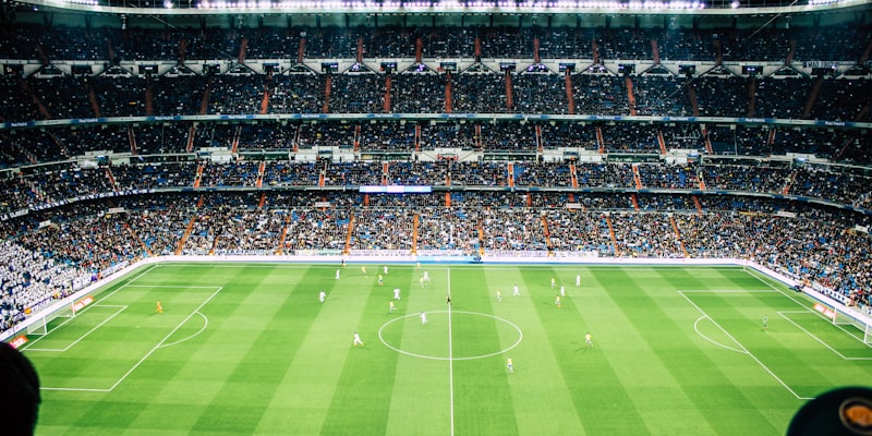 2024年夏季奥运会筹备进展顺利 - 新建成的现代化体育场馆外景